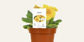Avery printede planteskilt
