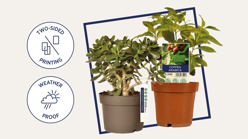 Utskrivbare skilt for planter og blomster