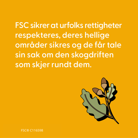 Fakta nr. 1: FSC sikrer at urfolks rettigheter respekteres, deres hellige områder sikres og de får tale sin sak om den skogdriften som skjer rundt dem.