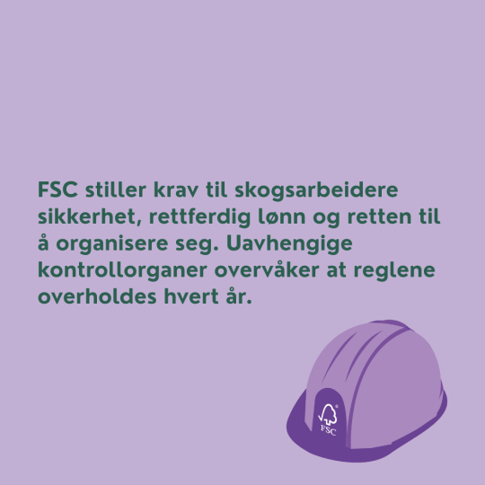 Bilde med arbeidshjelm og tekst om at FSC stiller krav til skogsarbeidernes sikkerhet.