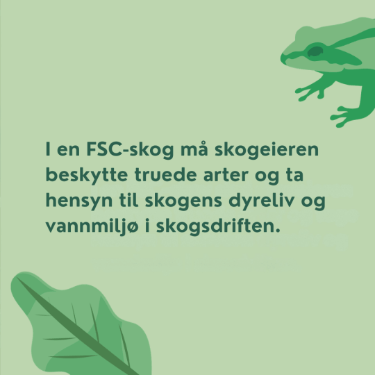 Forteller at i en FSC-skog må skogeieren beskytte truede arter og ta hensyn til dyrelivet.