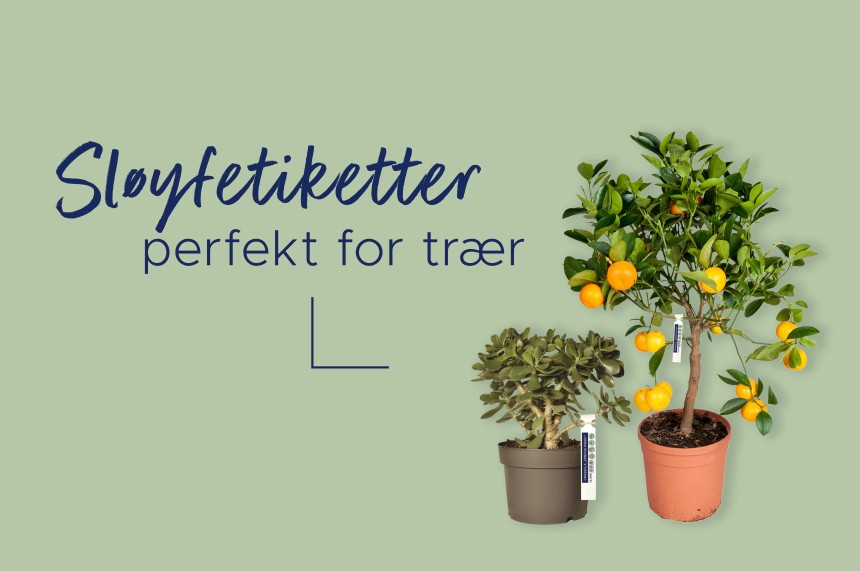 Sløjfeetiketter