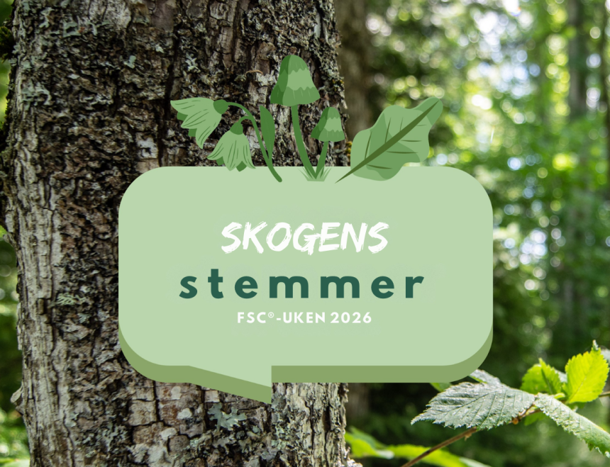 Bilde av skog med teksten: Skogens stemmer