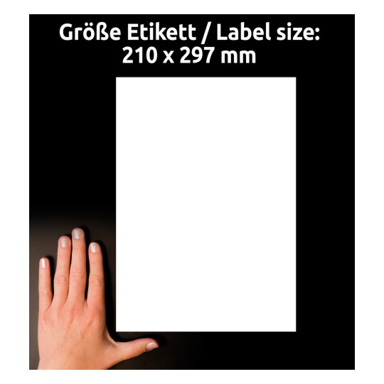 Størrelsessammenligning med hånd, Artikkel: B4775-50, et ark ultra-resistente folie-etiketter, format: 210 x 297 mm, farge: hvit.